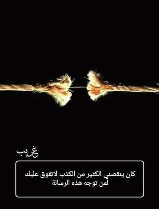 bntpal.com_154316905