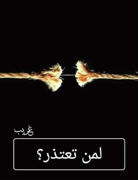 bntpal.com_154316905