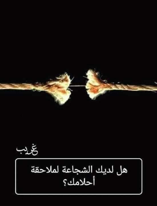 bntpal.com_154316905