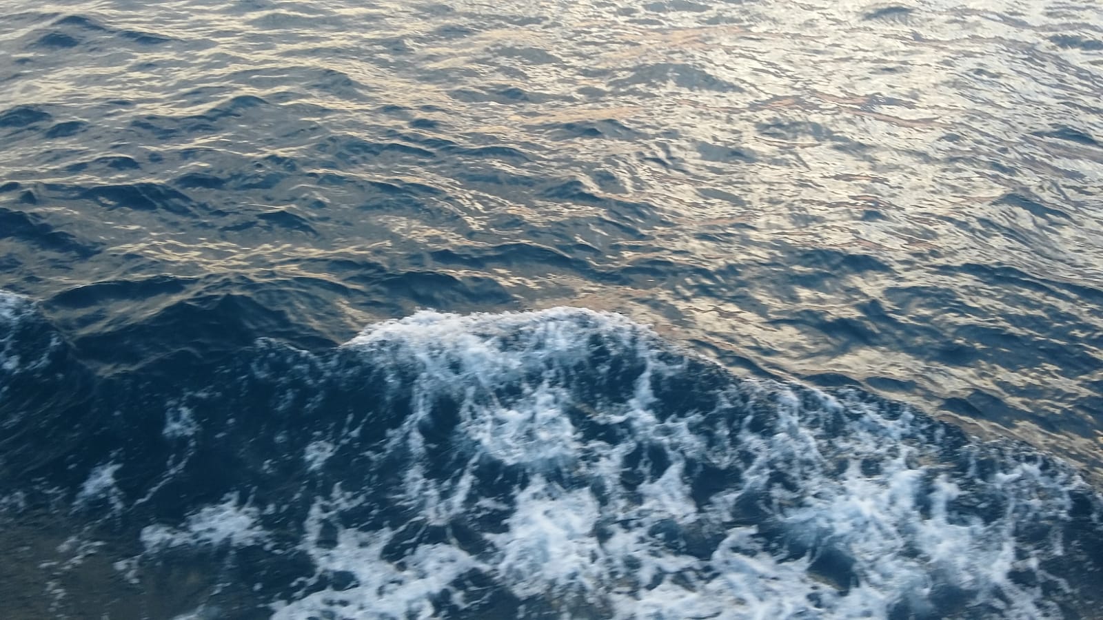 ~~ bntpal.com_154320970