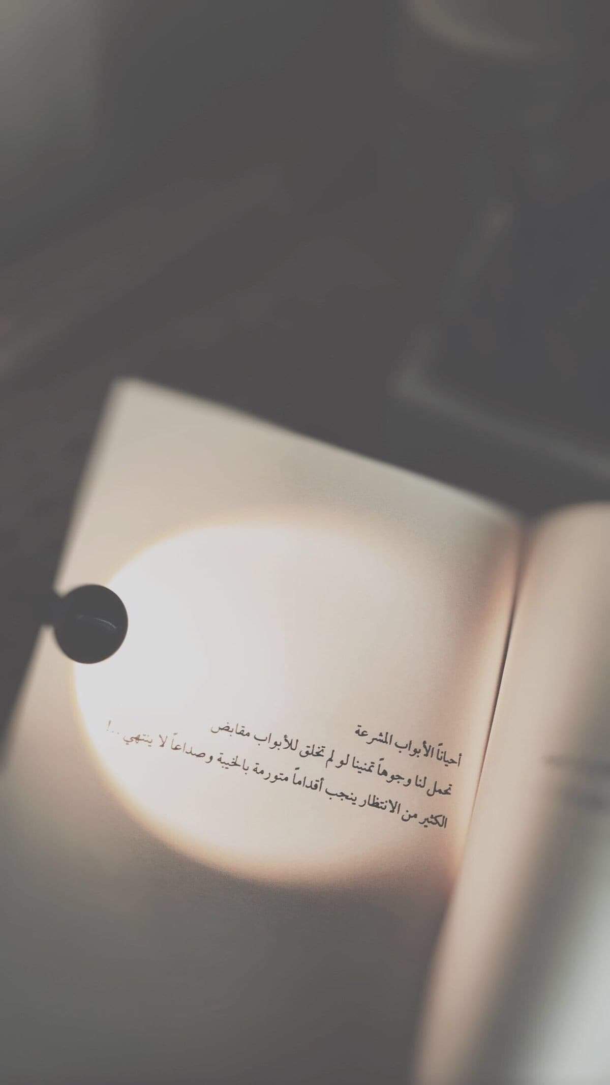  ..   ~~ bntpal.com_154386769