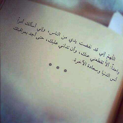  ..   ~~ bntpal.com_154386769