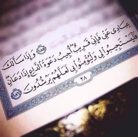 ... ^^ bntpal.com_154442031