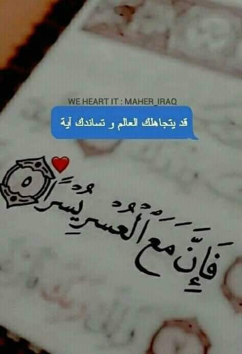 ... ^^ bntpal.com_154442031