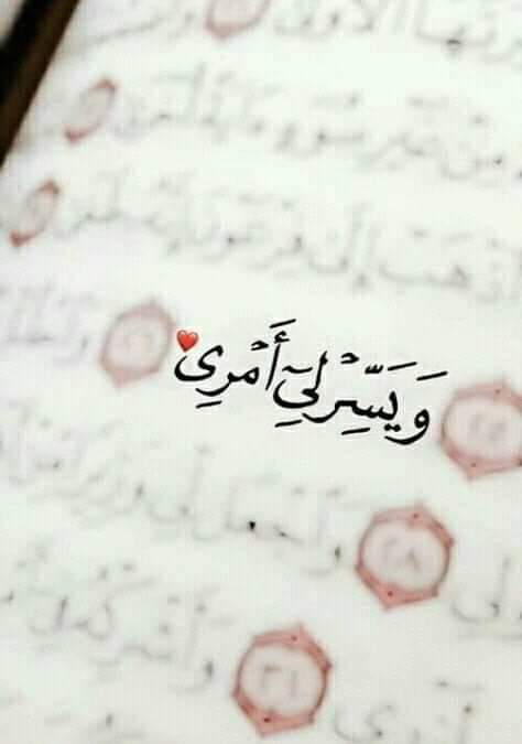 ... ^^ bntpal.com_154442031