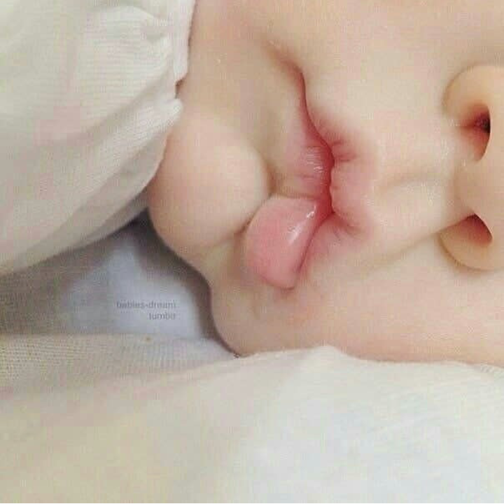 .^^ bntpal.com_154452132