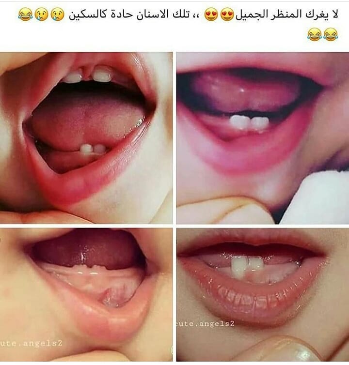 .^^ bntpal.com_154452132