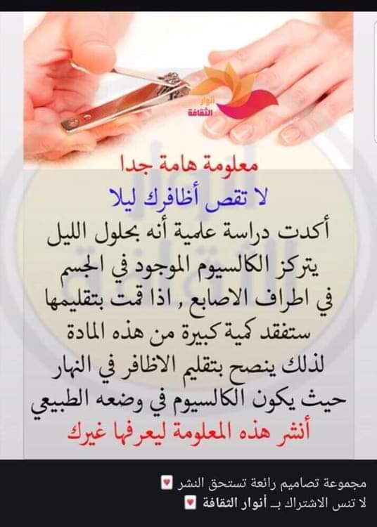 bntpal.com_154470352