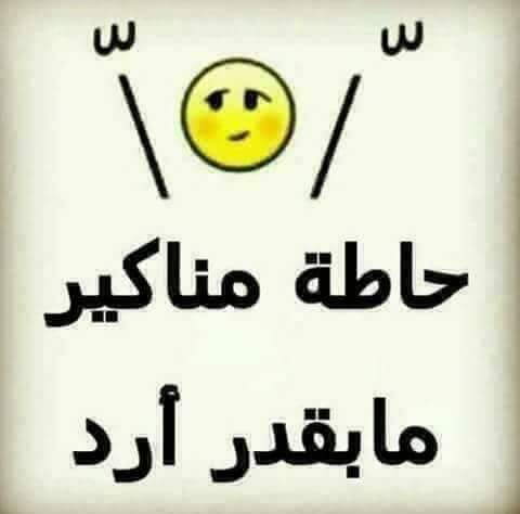 bntpal.com_154493792