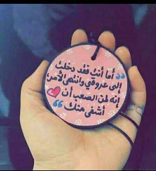 ^^ bntpal.com_154507512