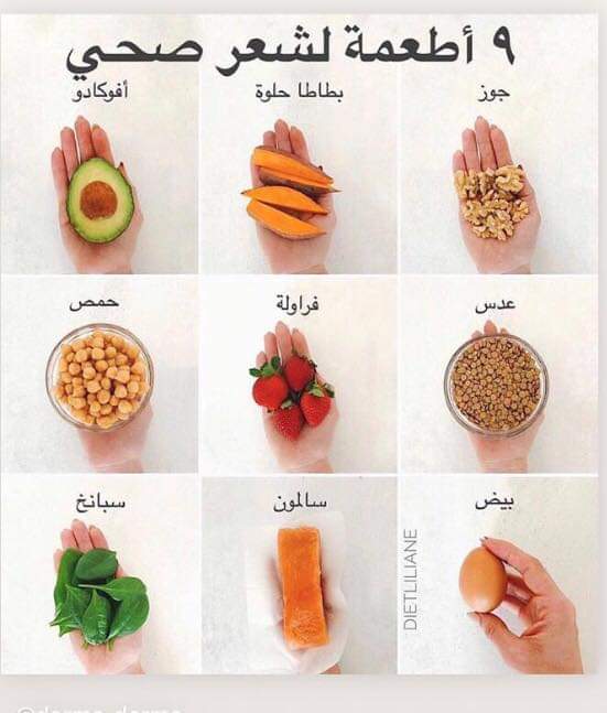 ٩ ..|~ bntpal.com_154515791