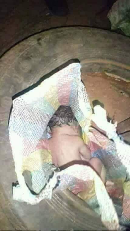 😥😥 bntpal.com_154539357