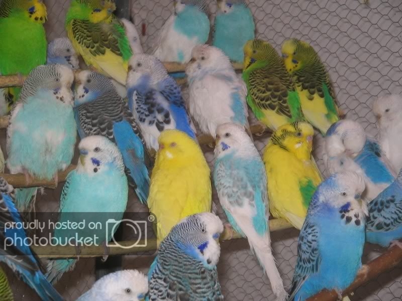  bntpal.com_154642993