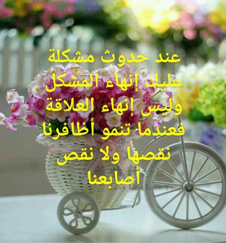  // bntpal.com_156188145