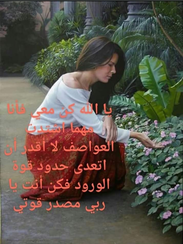  // bntpal.com_156188145