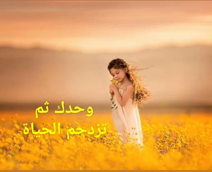  // bntpal.com_156188145