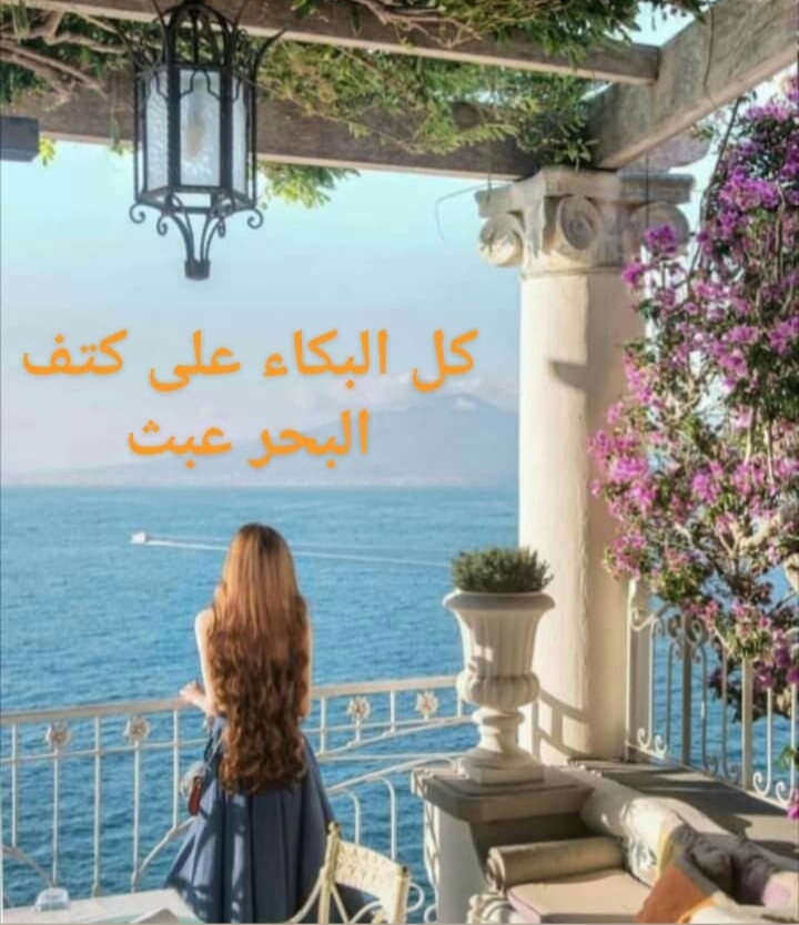  // bntpal.com_156188145