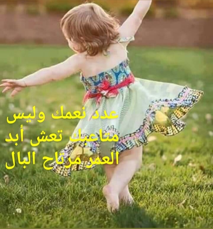  // bntpal.com_156188145
