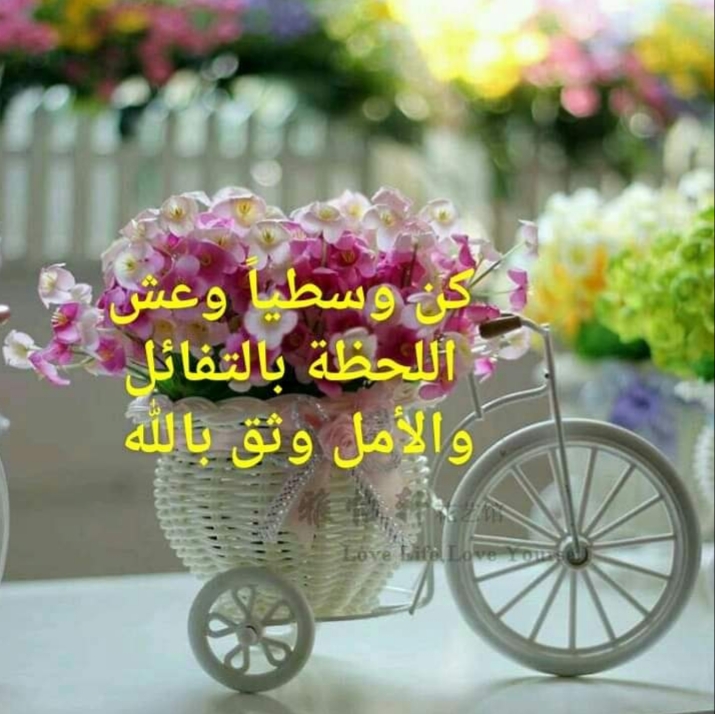  // bntpal.com_156188145