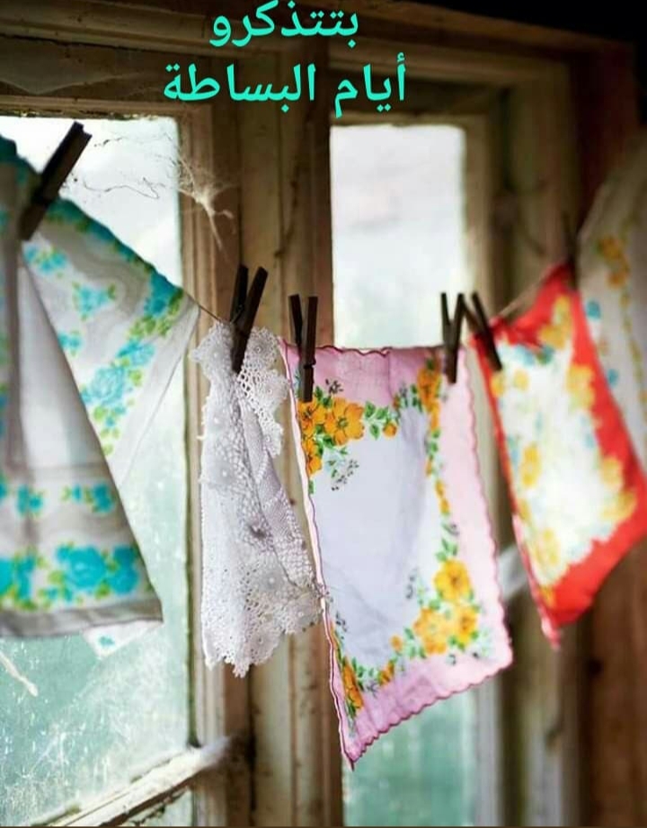  // bntpal.com_156188145