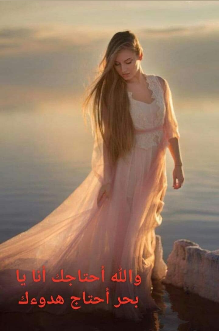  // bntpal.com_156188145