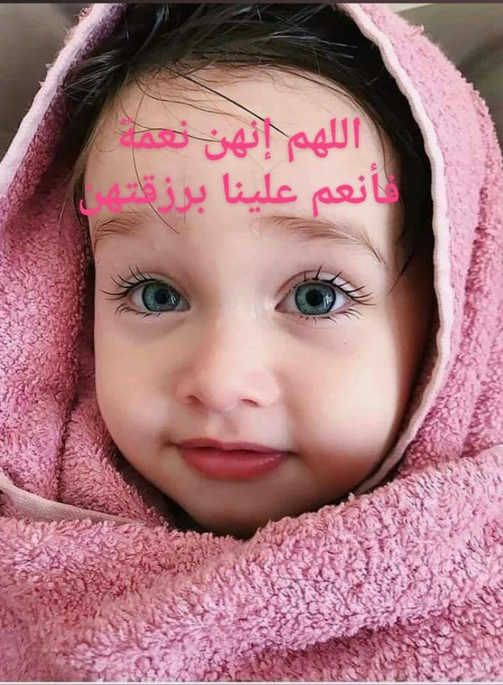  // bntpal.com_156188145