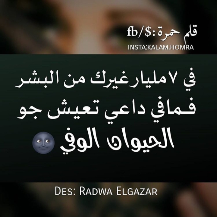 😁😁😁^^ bntpal.com_156190944