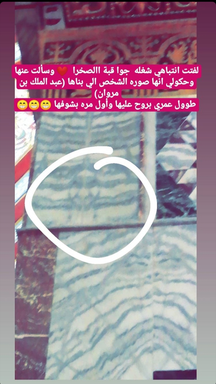 🌸🌸 bntpal.com_156197153
