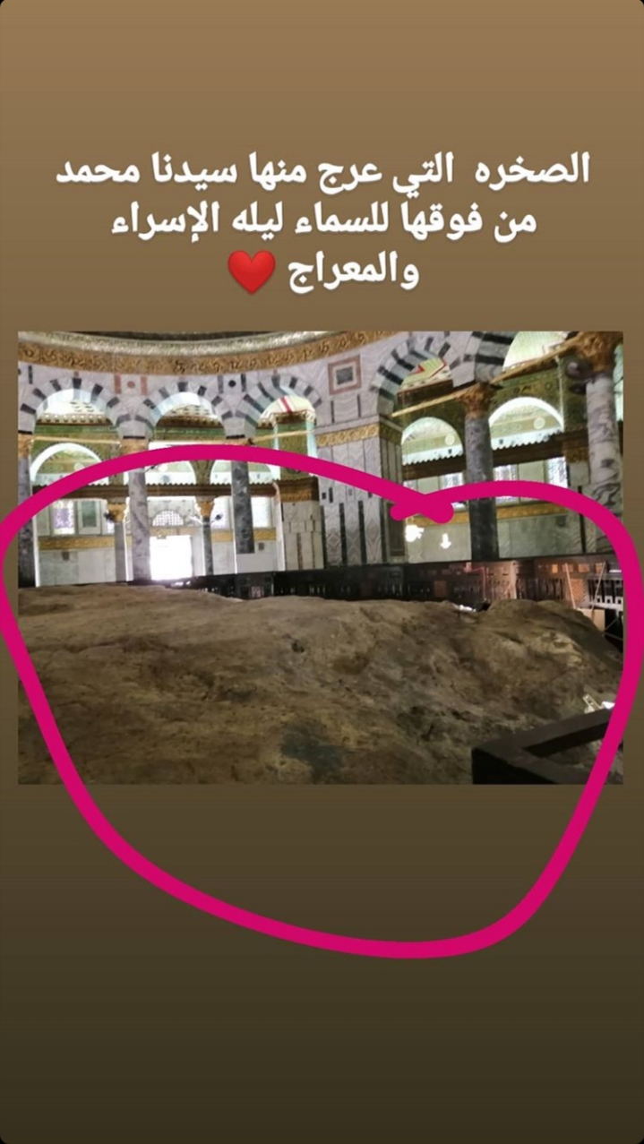 🌸🌸 bntpal.com_156197153