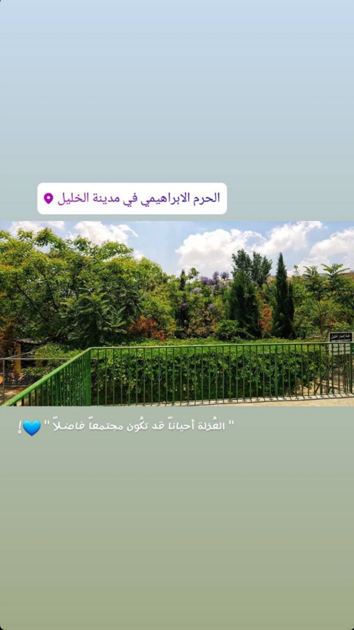 🌸🌸 bntpal.com_156197153
