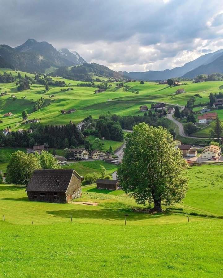الريف السويسري ❤ bntpal.com_158154221