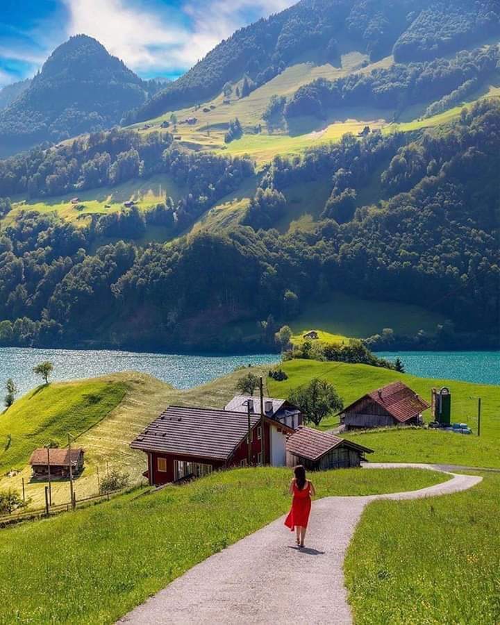   ! ❤