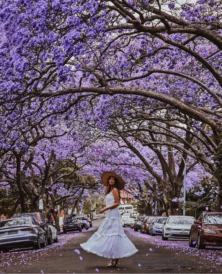 ���� ���� ������ �� ���� ������