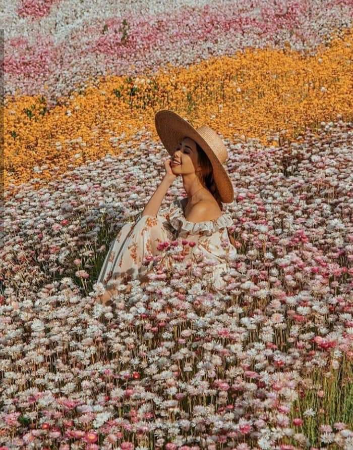 ���� ���� ������ �� ���� ������