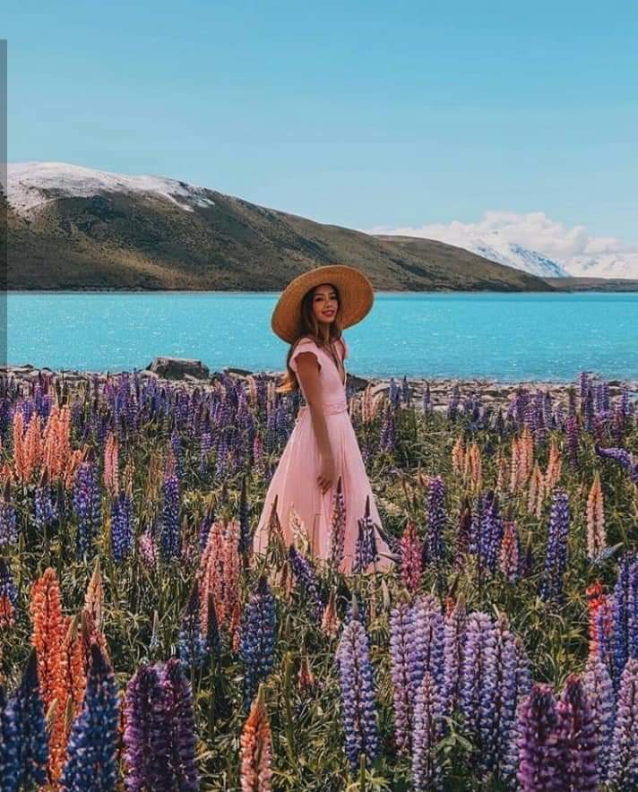 ���� ���� ������ �� ���� ������