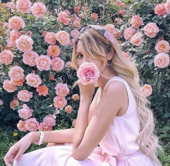 ���� ���� ������ �� ���� ������