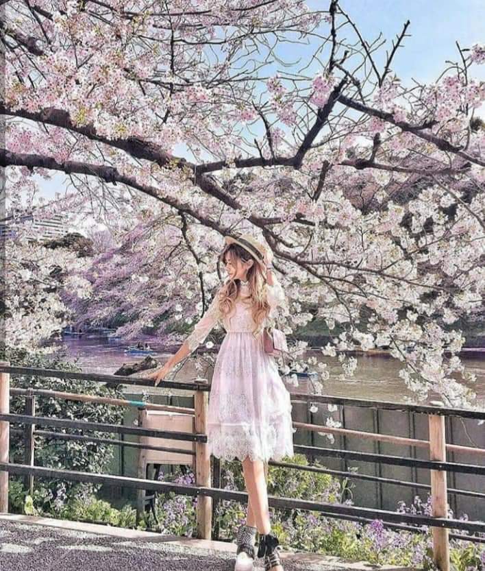 ���� ���� ������ �� ���� ������