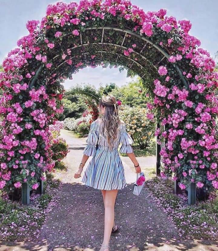 ���� ���� ������ �� ���� ������