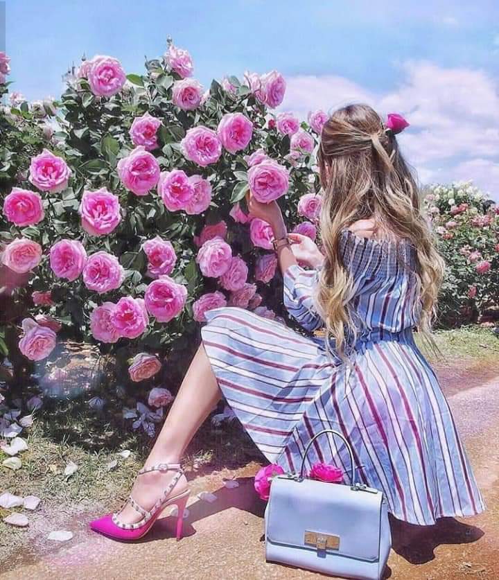 ���� ���� ������ �� ���� ������