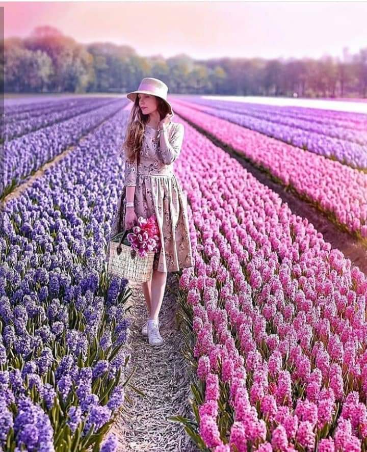 ���� ���� ������ �� ���� ������