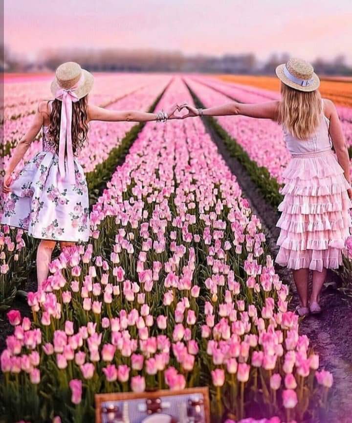 ���� ���� ������ �� ���� ������