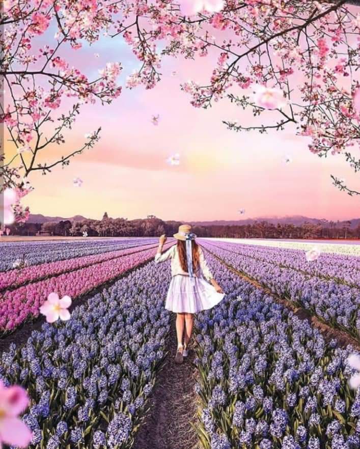 ���� ���� ������ �� ���� ������