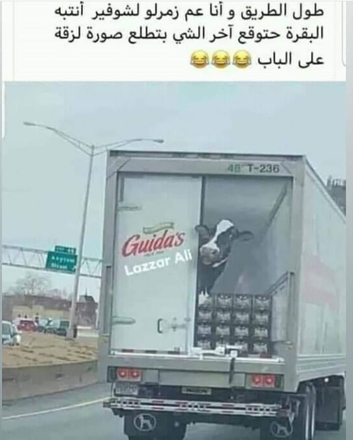 ���� ���� ������ �� ���� ������