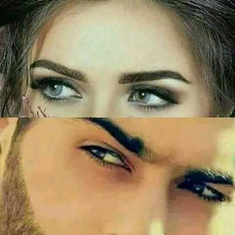 نقره لعرض الصورة في صفحة مستقلة