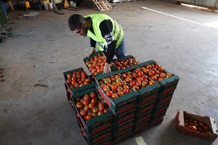 ���� ���� ������ �� ���� ������