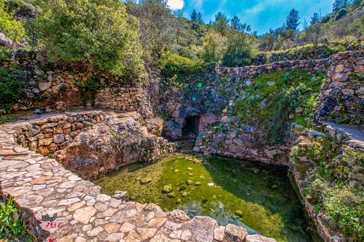 ���� ���� ������ �� ���� ������