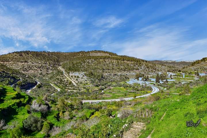 ���� ���� ������ �� ���� ������