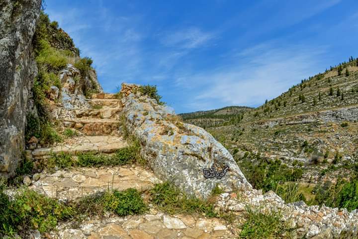 ���� ���� ������ �� ���� ������