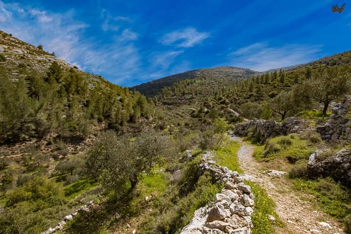 ���� ���� ������ �� ���� ������