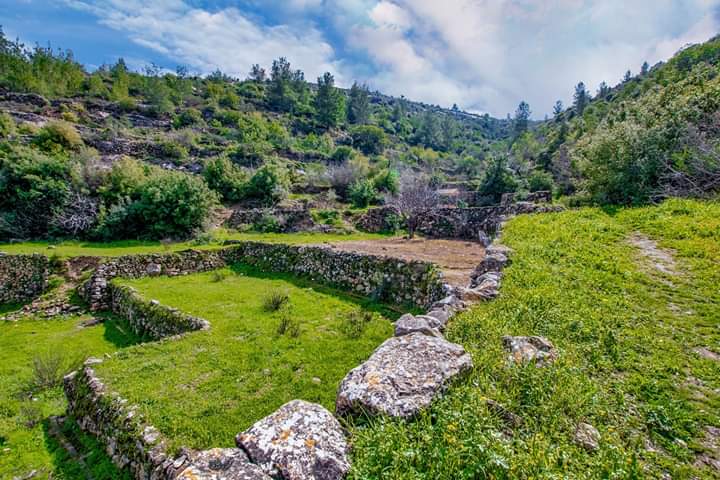 ���� ���� ������ �� ���� ������